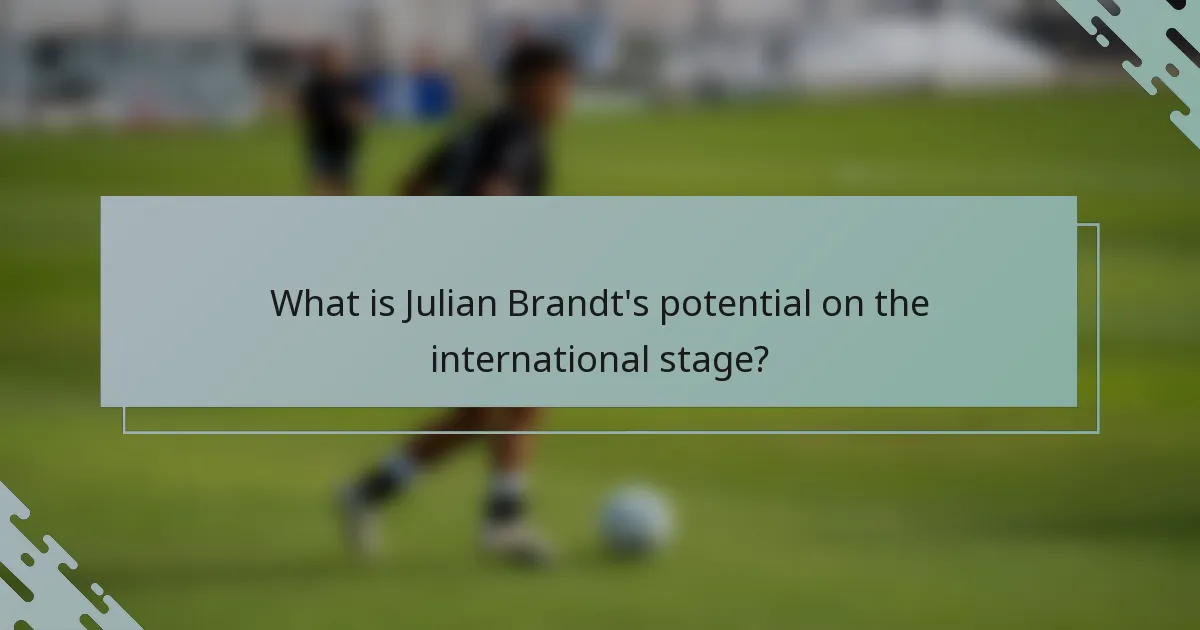 What is Julian Brandt's potential on the international stage?
